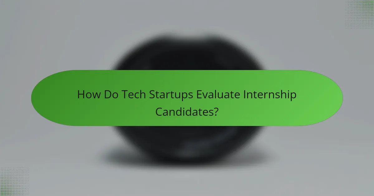 How Do Tech Startups Evaluate Internship Candidates?