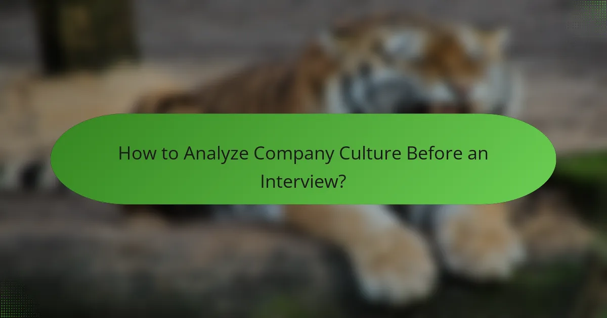 How to Analyze Company Culture Before an Interview?