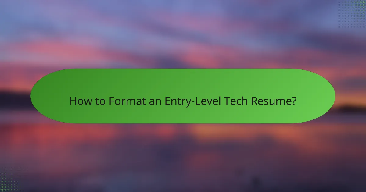 How to Format an Entry-Level Tech Resume?