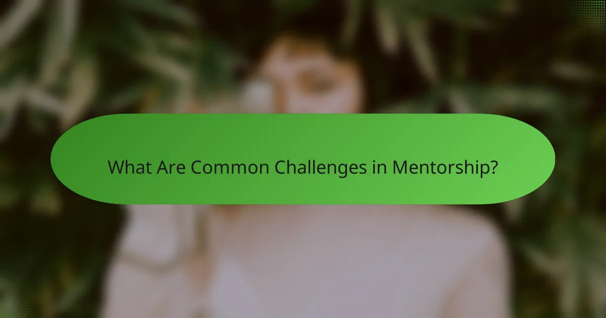 What Are Common Challenges in Mentorship?