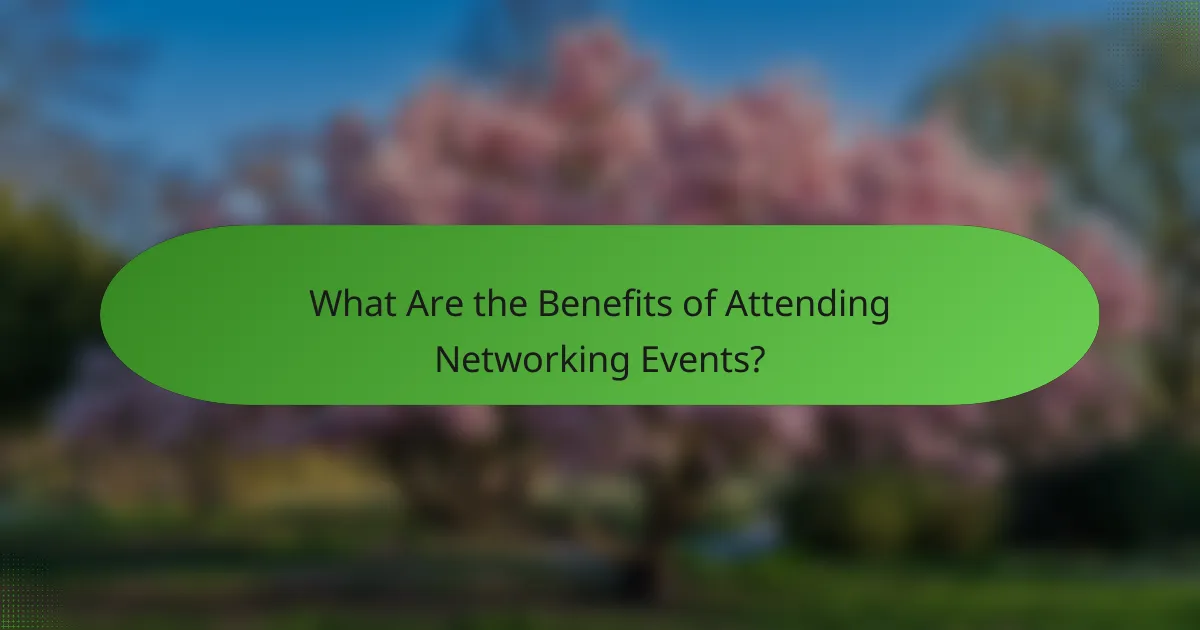 What Are the Benefits of Attending Networking Events?