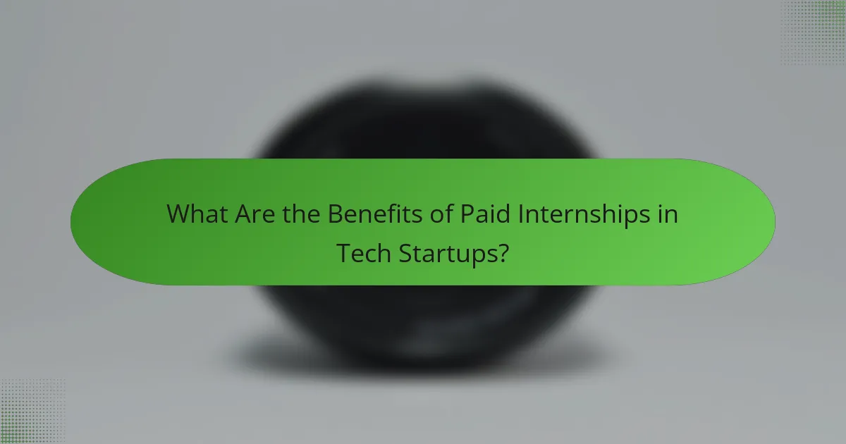 What Are the Benefits of Paid Internships in Tech Startups?