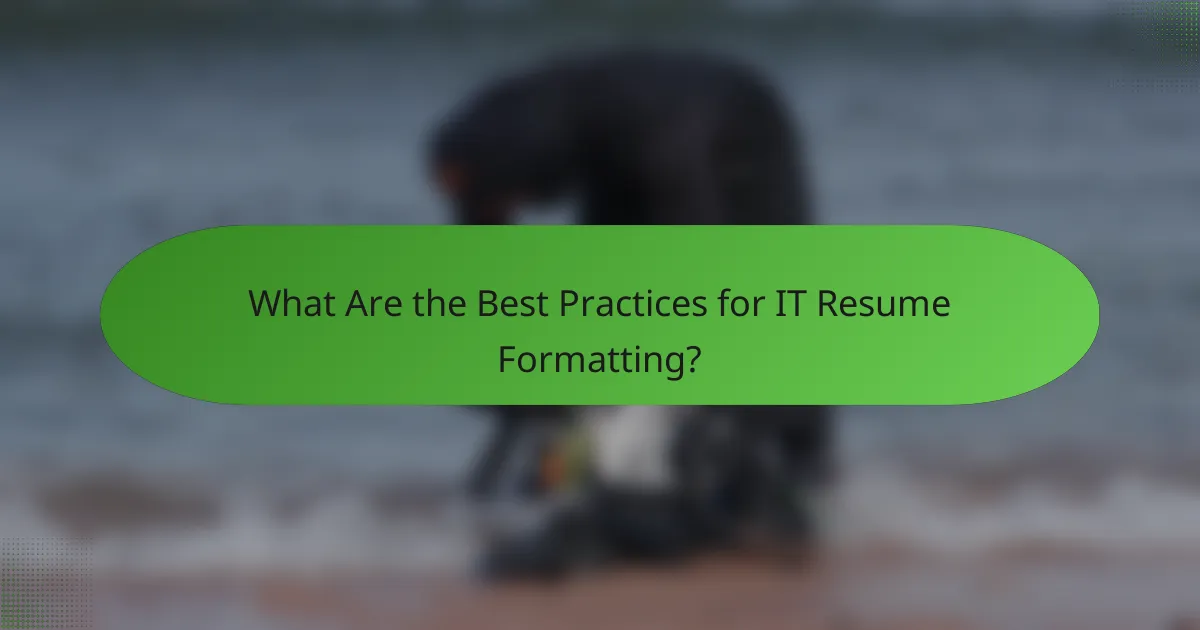 What Are the Best Practices for IT Resume Formatting?