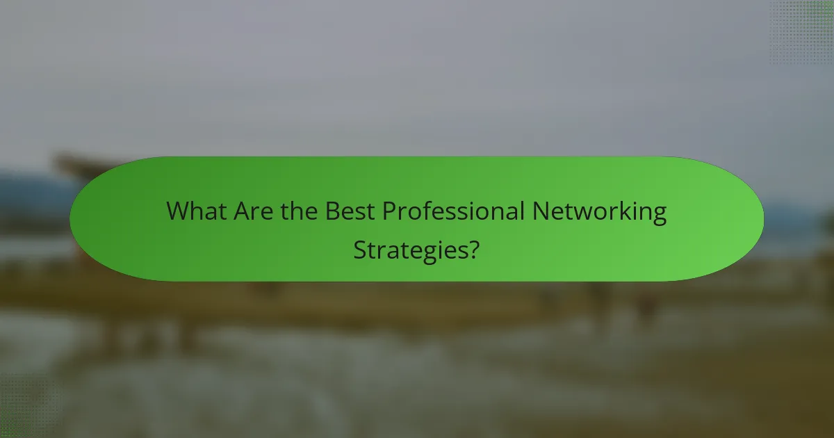 What Are the Best Professional Networking Strategies?