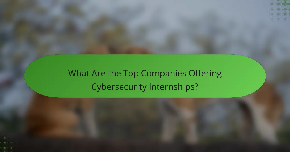 What Are the Top Companies Offering Cybersecurity Internships?