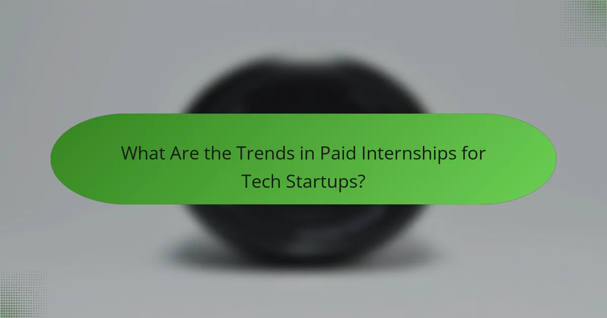 What Are the Trends in Paid Internships for Tech Startups?