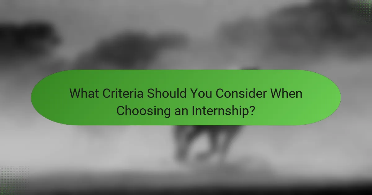What Criteria Should You Consider When Choosing an Internship?